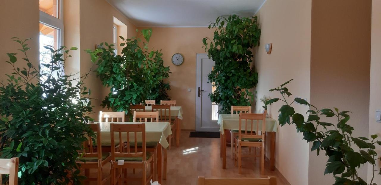 Pension Lehmann Radebeul Exterior photo